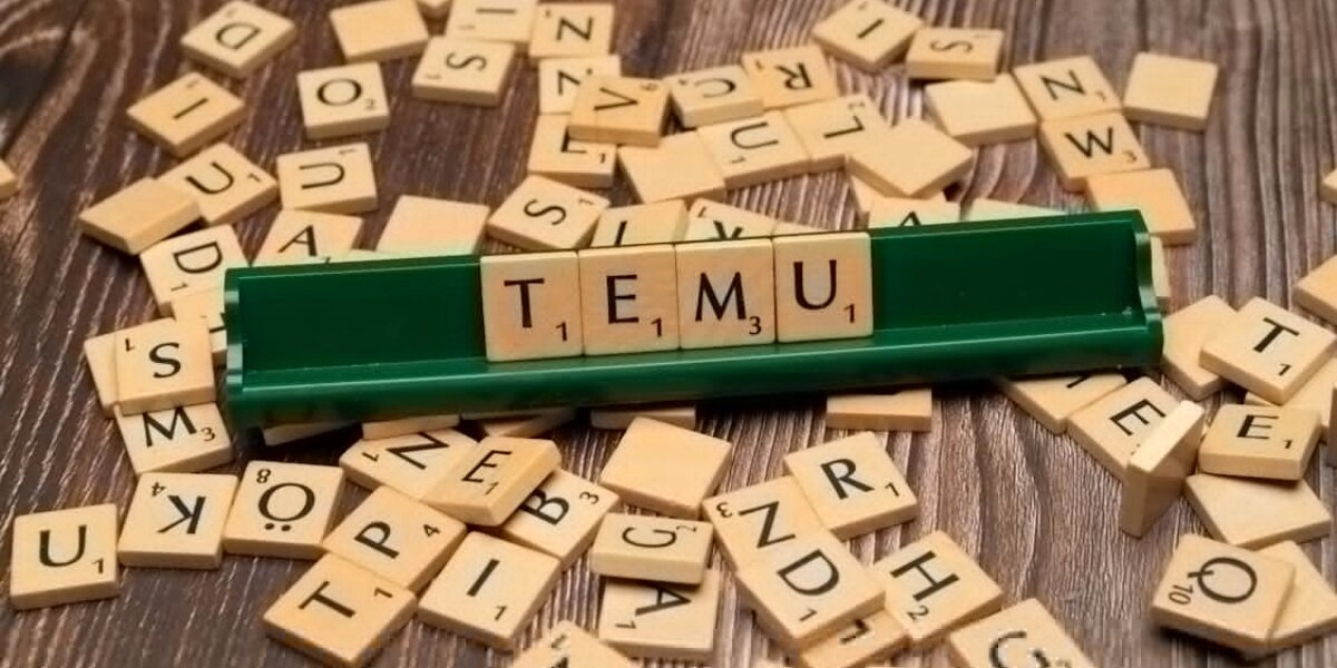 Temu cross-border e-commerce platform